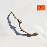 PJ Harvey CD I Inside The Old Year Dying