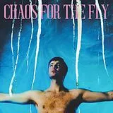 Grian Chatten CD Chaos For The Fly