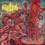 Cerebral Rot Vinyl Excretion Of Mortality (violet/red Vinyl)