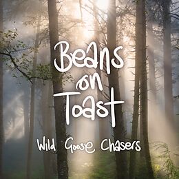 Beans On Toast CD Wild Goose Chasers