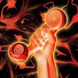 Peter Gabriel CD Secret World (live)