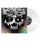 Rise And Fall Vinyl Into Oblivion (20 Year Anniversary) (sleeve)