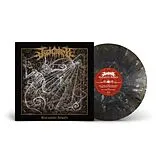 Judiciary Vinyl Stalagmite Angels