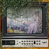 Elizabeth Cook CD Great Television (cd Sleeve)