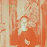 Swallow The Rat LP (analog) South Locust