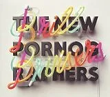 The New Pornographers CD Brill Bruisers
