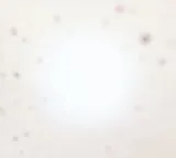 Yo La Tengo Vinyl There's A Riot Going On