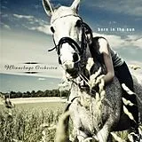 Winnebago Orchestra CD Born In The Sun