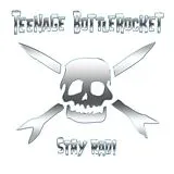 Teenage Bottlerocket LP (analog) Stay Rad