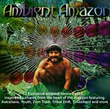 Various CD Ambient Amazon