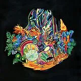 Kaitlyn Aurelia Smith LP (Vinyl) EARS