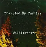 Trampled By Turtles Single (analog) Wildflowers