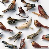 Kishi Bashi CD Omoiyari