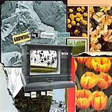 I M Sorry Thank You LP (analog) Growing In Strange Places (ltd. Orange Crush Vinyl