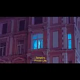 Tempers LP (analog) Private Life