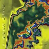 Hiro Kone LP (analog) A Fossil Begins To Bray