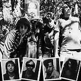 Dwarves LP (analog) Lick It 1983-86: Limited Edition