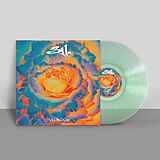 311 Vinyl Full Bloom