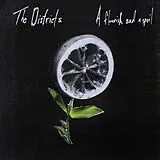 The Districts LP (Vinyl) A Flourish And A Spoil (Vinyl)