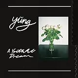 Yung Vinyl A Youthful Dream (Vinyl)