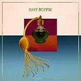 Why Bonnie Vinyl Voice Box