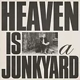 Youth Lagoon Vinyl Heaven Is A Junkyard