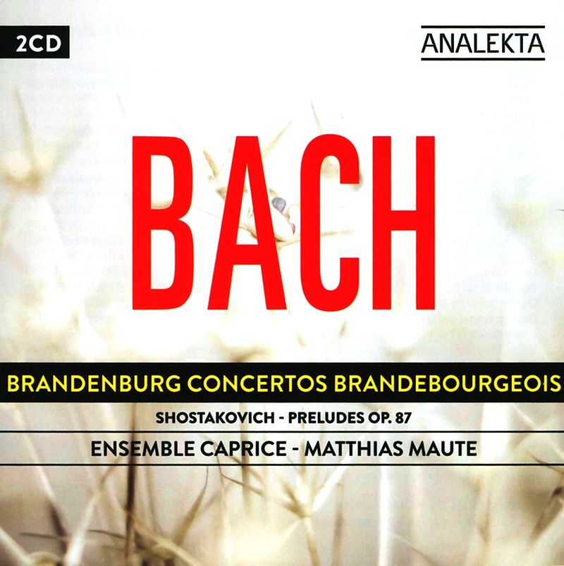 Brandenburgische Konzerte