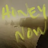 Neon Waltz LP (analog) Honey Now