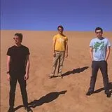 The Fucking Champs CD vi