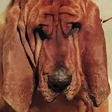 Ty Segall Vinyl Goodbye Bread (Vinyl)