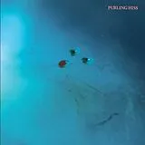 Purling Hiss LP (analog) High Bias
