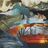 David Grubbs LP (analog) Whistle From Above