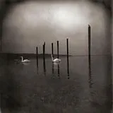 Om CD Conference Of The Birds (reissue)