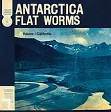 Flat Worms LP (analog) Antarctica