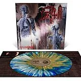 Death Vinyl Human