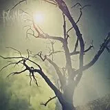 Rwake CD REST