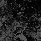 Primitive Man/unearthly Trance Vinyl Split
