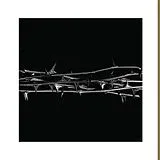 Amenra Vinyl De Doorn