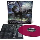 Incantation Vinyl Unholy Deification