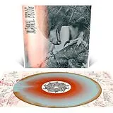 Author & Punisher Vinyl Nocturnal Birding (sleeve Custom Merge Vinyl)