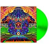 Arcadea Vinyl The Exodus Of Gravity