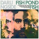 Darlingside Vinyl Fish Pond Fish