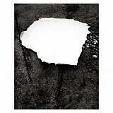 Zelienople Vinyl Everything Is Simple