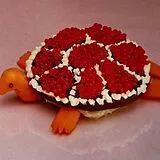 Sharp Pins Vinyl Turtle Rock