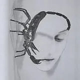 Tortoise CD Touch