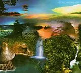 Tortoise CD It's All Around You