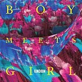Endon Vinyl Boy Meets Girl