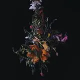 Big|Brave CD Nature Morte