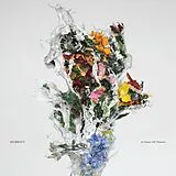 Big Brave LP (analog) A Chaos Of Flowers