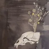 Steve & Black Twig Gunn LP (analog) Seasonal Hire (clear Vinyl)